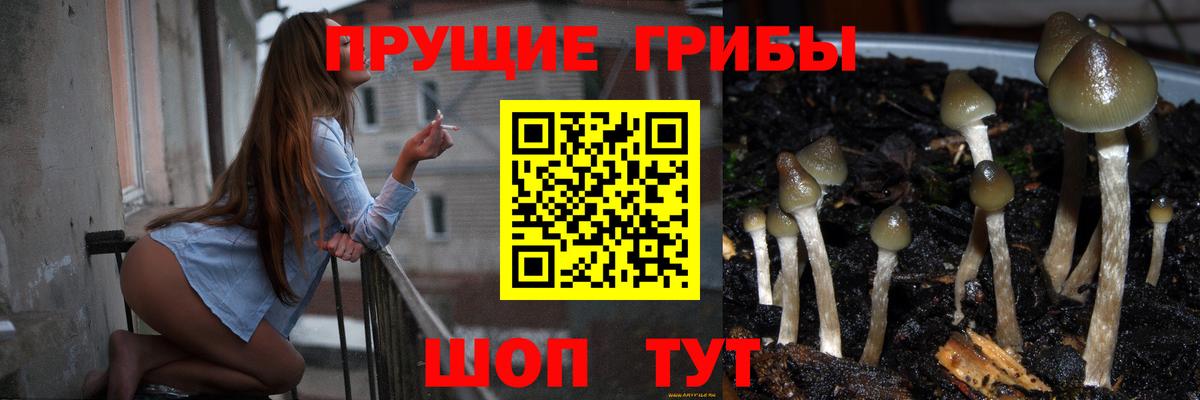 Галлюциногенные грибы мицелий Керчь